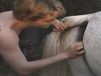 Misty pony